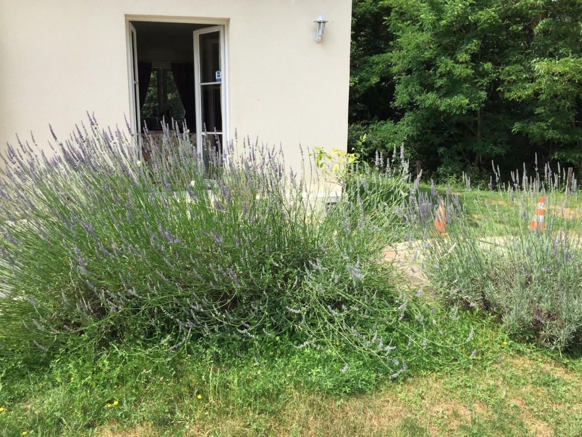 Le Clos Du Golf Dame-Marie-les-Bois Dış mekan fotoğraf